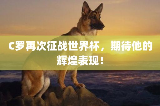 C罗再次征战世界杯，期待他的辉煌表现！