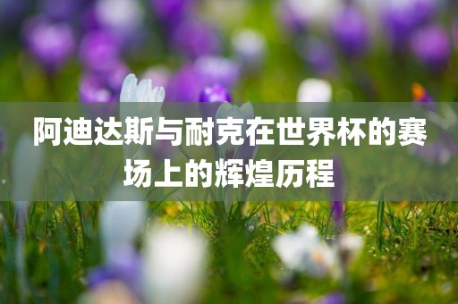 阿迪达斯与耐眉山市正发家政服务有限公司克在世界杯的赛场上的辉煌历程