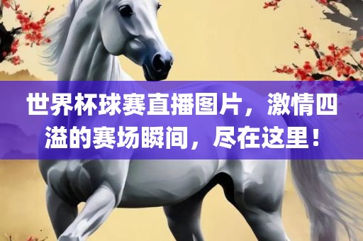 世界杯球赛直播图片，激情四溢的赛场瞬间，尽在这里！