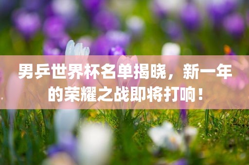 男乒世界杯名单揭晓，新一年的荣耀之战即将打响！