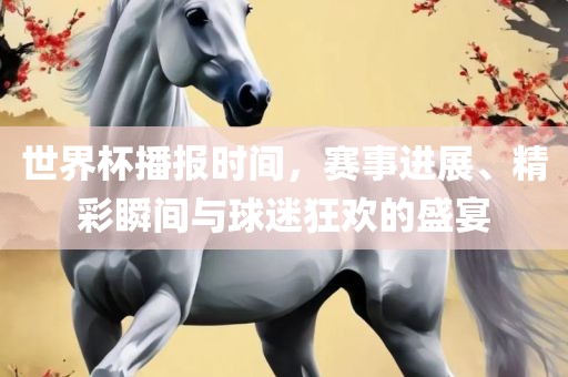 世界杯播报时间，赛事进展、精彩瞬间与球迷狂欢的盛宴