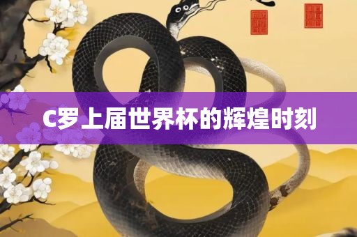 C罗上届世界杯的辉煌时刻眉山市正发家政服务有限公司