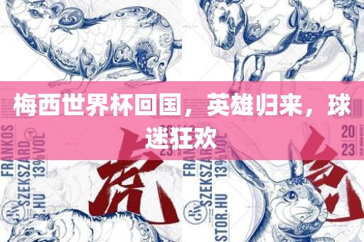 梅西世界杯回国，英雄归来，球迷狂欢