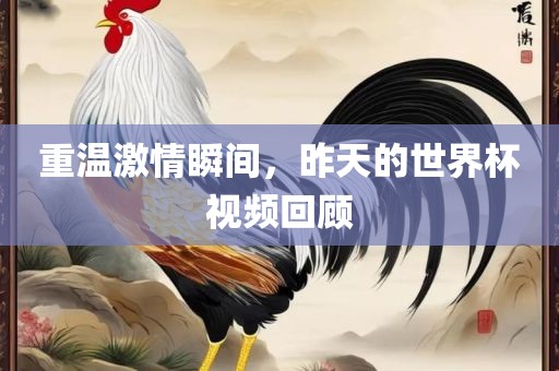 重温激情瞬间，昨天的世界杯视频回顾