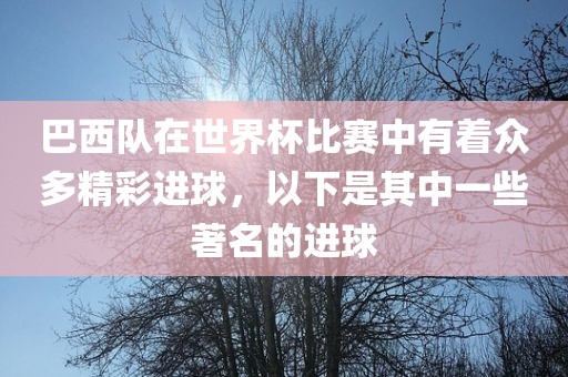 巴西队在世界杯比赛中有着众多精彩进球，以下是其中一些著名的进球
