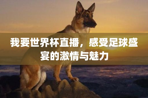 我要世界杯直播，感受足球盛宴的激情与魅力