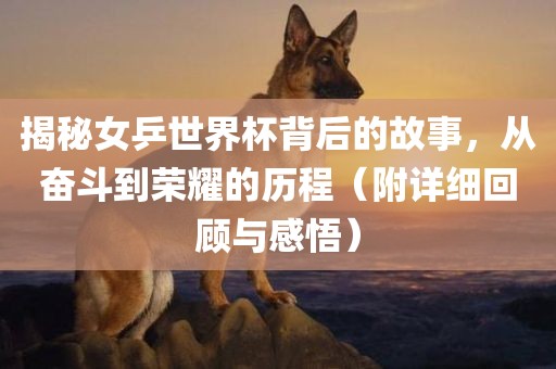 揭秘女乒世界杯背后的故事，从奋斗到荣耀的历程（附详细回顾与感悟）