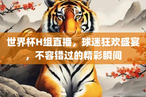 世界杯H组直播，球迷狂欢盛宴，不容错过的精彩瞬间