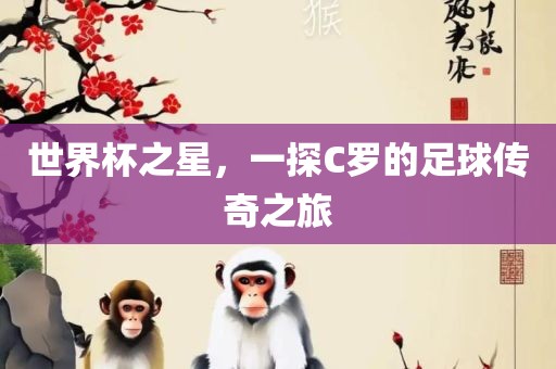 世界杯之星，一探C罗的足球传奇之旅