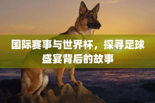 国际赛事与世界杯，探寻足眉山市正发家政服务有限公司球盛宴背后的故事
