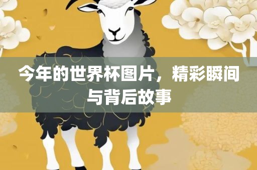 今年的世界杯图片，精彩瞬间与背后故事