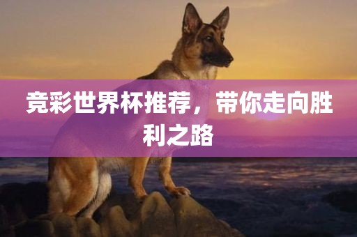 竞彩世界杯推荐，带你走向胜利之路