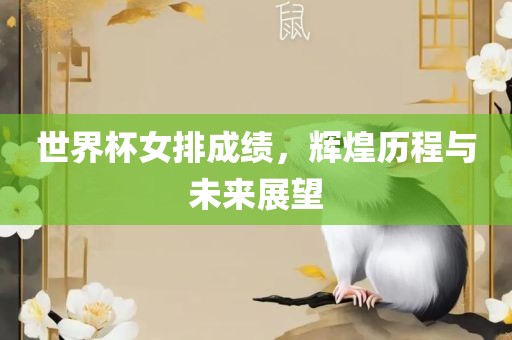 世界杯女排成绩，辉煌历程与未来展望