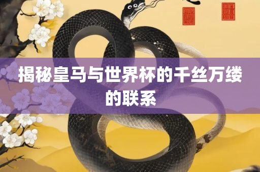 揭秘皇马与世界杯的千丝万缕的联系
