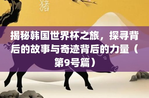 揭秘韩国世界杯之旅，探寻背后的故事与奇迹背后的力量（第9号篇）