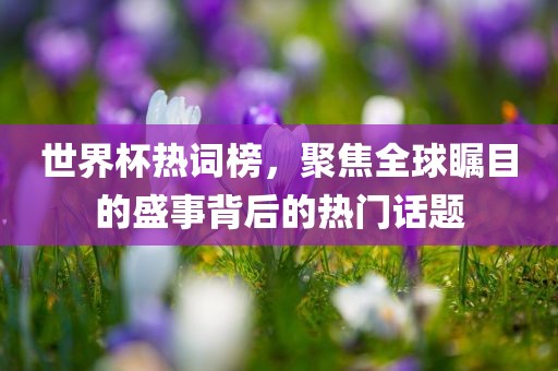 世界杯热词榜，聚焦全球瞩目的盛事背后的热门话题