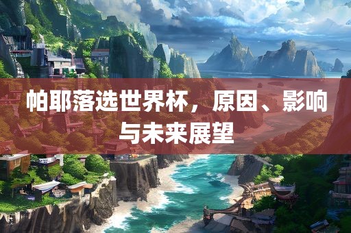 帕耶落选世界杯，原因、影响与未来展望