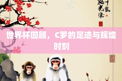 世界杯回顾，C罗的足迹与辉煌时刻