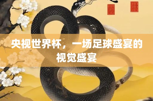 央视世界杯，一场足球盛宴的视觉盛宴眉山市正发家政服务有限公司