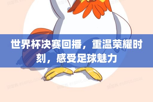 世界杯决赛回播，重温荣耀时刻，感受足球魅力