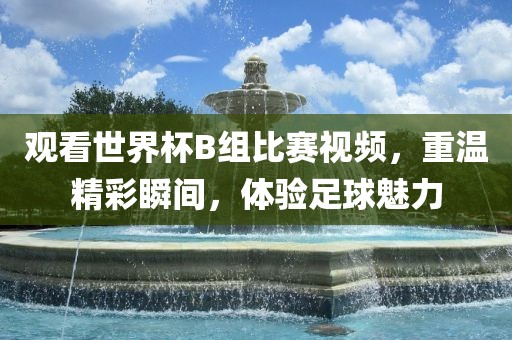 观看世界杯B组比赛视频，重温精彩瞬间，体验足球魅力