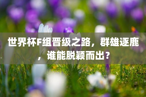 世界杯F组晋级之路，群雄逐鹿，谁能脱颖而出？