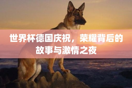 世界杯德国庆祝，荣耀背后的故事与激情之夜