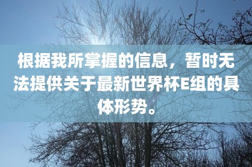 根据我所掌握的信息，暂时无法提供关于最新世界杯E组的具体形势。