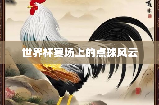 世界杯赛场上的点球风云眉山市正发家政服务有限公司