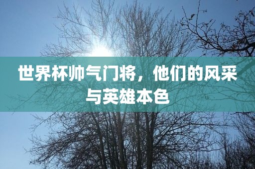 linzhenyu 第3页