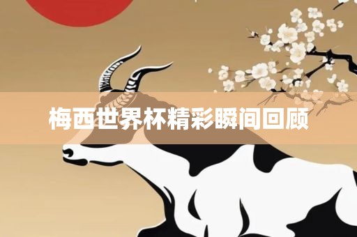 梅西世界杯精彩瞬间回顾