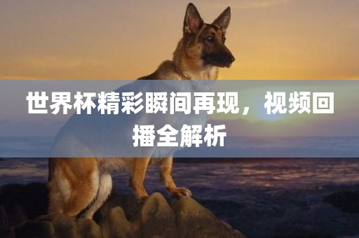 世界杯精彩瞬间再现，视频回播全解析