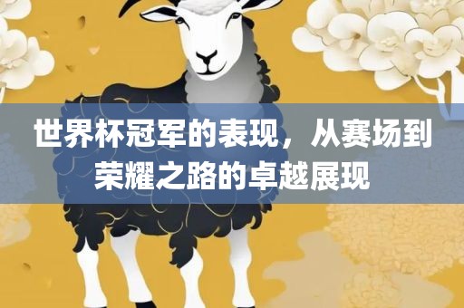 世界杯冠军的表现，从赛场到荣耀之路的卓越展现