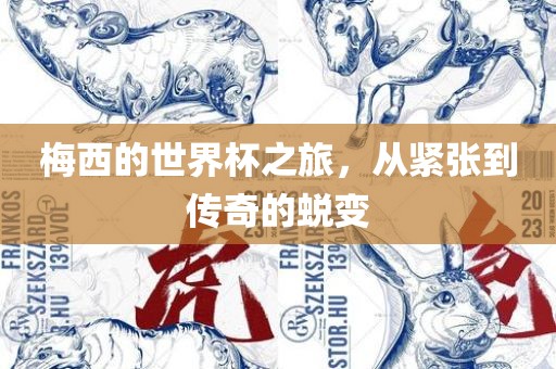 梅西的世界杯之旅，从紧张到传奇的蜕变