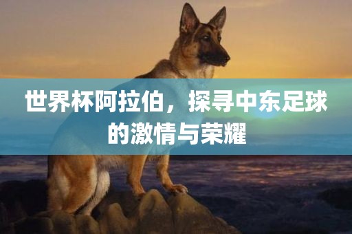 世界杯阿拉伯，探寻中东足球的激情与荣耀眉山市正发家政服务有限公司