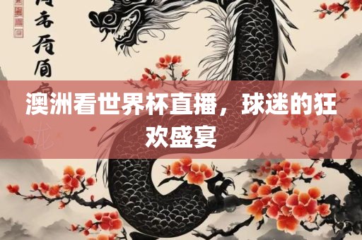 澳洲看世界杯直播，球迷的狂欢盛宴