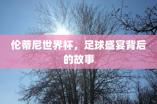 伦蒂尼世界杯，足球盛宴背后的故事