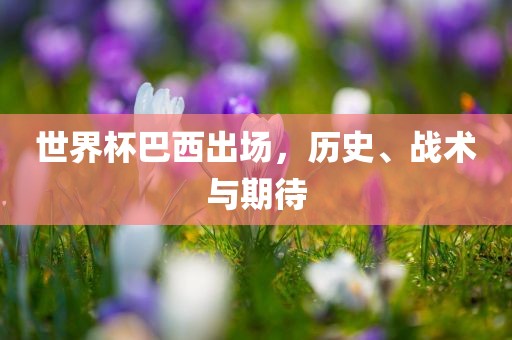 世界杯巴西出场，历史、战术与期待