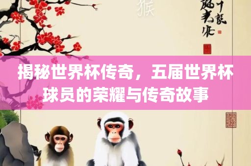 揭秘世界杯传奇，五届世界杯球员的荣耀与传奇故事眉山市正发家政服务有限公司