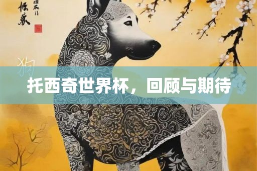 托西奇世界杯，回顾与期待眉山市正发家政服务有限公司