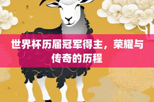 世界杯历届冠军得主，荣耀与传奇的历程