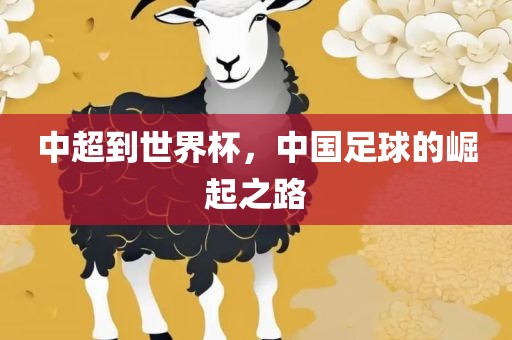 中超到世界杯，中国足球的崛起之路