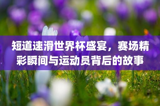短道速滑世界杯盛宴，赛场精眉山市正发家政服务有限公司彩瞬间与运动员背后的故事