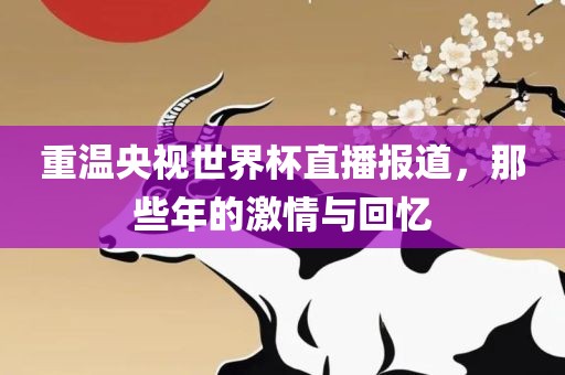 重温央视世界杯直播报道，那些年的激情与回忆