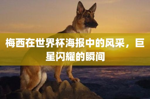 梅西在世界杯海报中的风采，巨星闪耀的瞬间