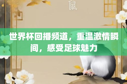 世界杯回播频道，重温激情瞬间，感受足球魅力