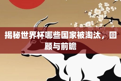揭秘世界杯哪些国家被淘汰，回顾与前瞻