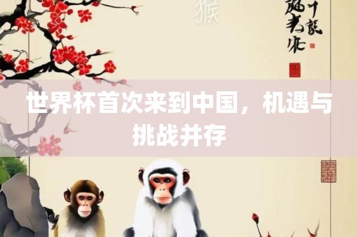 世界杯首次来到中国，机遇与挑战并存