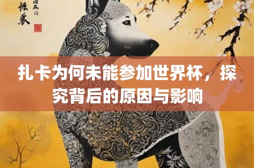 扎卡为何未能参加世界杯，探究背后的原因与影响