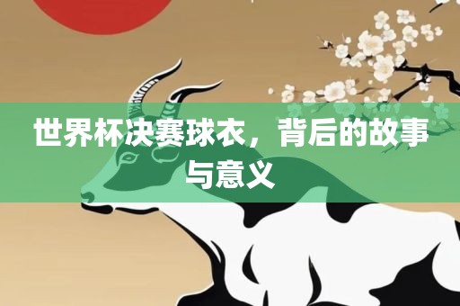世界杯决赛球衣，背后的故事与意义